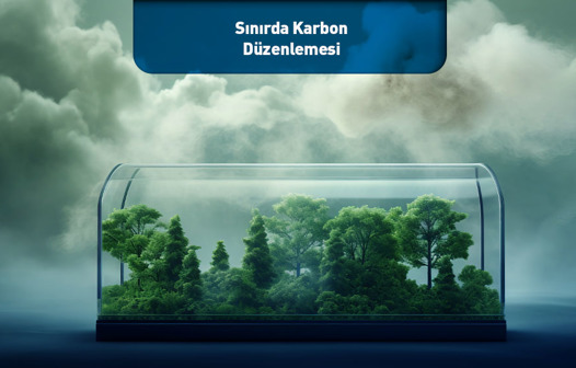 Sınırda Karbon Düzenlemesi