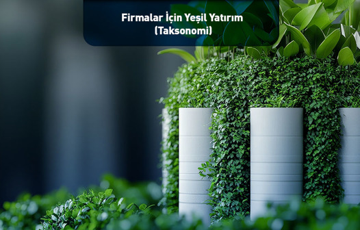 Firmalar İçin Yeşil Yatırım  (Taksonomi)