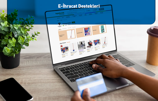 E-İhracat Destekleri