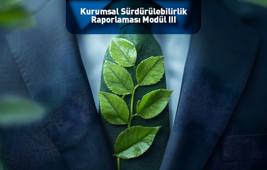 Kurumsal Sürdürülebilirlik Raporlaması Modül III