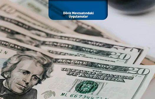 Döviz Mevzuatındaki Uygulamalar