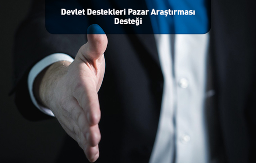 Devlet Destekleri Pazar Araştırması Desteği