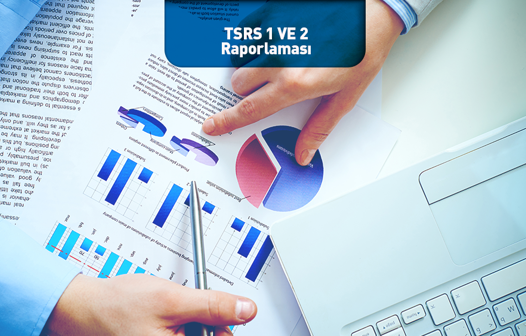 TSRS 1 ve 2 Raporlaması